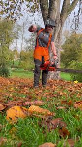 Image result for pfanzelt tehron