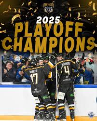 Image result for Nottingham Panthers