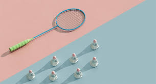 Image result for Hexham Private Badminton Club