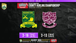 Image result for Causeway Hurling Club