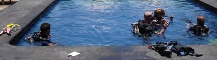 Image result for Torbay Sub-Aqua Club