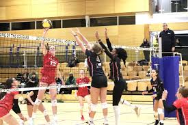 Image result for Malory Eagles volleyball club
