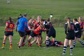 Image result for Royston Rufc