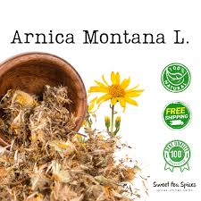 Attēlu rezultāti vaicājumam “Arnica montana”