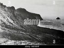 Attēlu rezultāti vaicājumam “Vouauxiomyces santessonii”