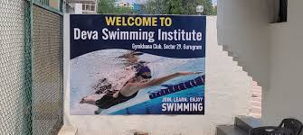 Image result for Deva Handball Club