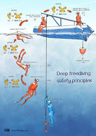 Image result for Pyle Octopush Club