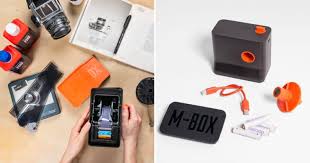 Attēlu rezultāti vaicājumam “Capsus ater imago”