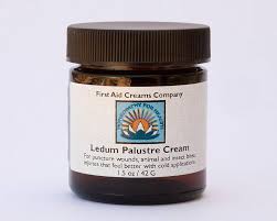 Attēlu rezultāti vaicājumam “Ledum palustre fruit”