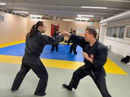 Image result for Peter Kings Dojo