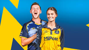 Image result for Drefach Cricket & Football Club