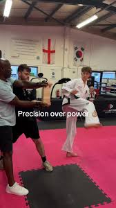 Image result for Precision Martial Arts