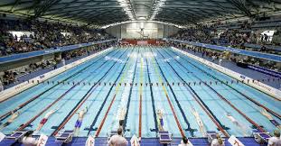 Image result for Leicester waterpolo club