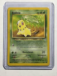 Image result for Endivie