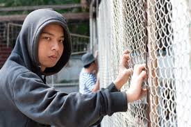 Attēlu rezultāti vaicājumam “juvenile”