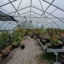 Image result for Arboretum Bowling Club