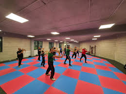 Image result for Alton Autodefence Wing Tchun