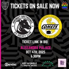 Image result for Haringey Greyhounds Ice Hockey Club