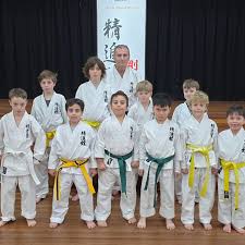 Image result for Yonju dojo shotokan karate club