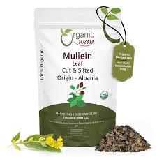 Attēlu rezultāti vaicājumam “Verbascum thapsus leaf”