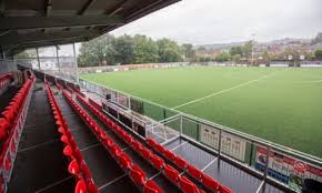 Image result for Dorking Wanderers F C