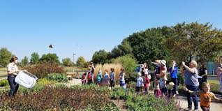 Image result for Cambridge Monarchs