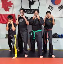 Image result for Surrey Taekwondo