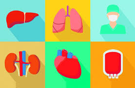Image result for doação de órgãos