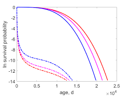 Image result for Polysteganus undulosus
