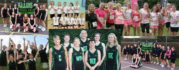 Image result for Alfa Netball Club