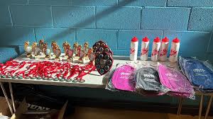 Image result for Oasis Badminton Club