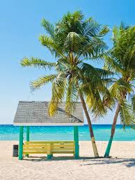 Resultado de imagen para cayman island