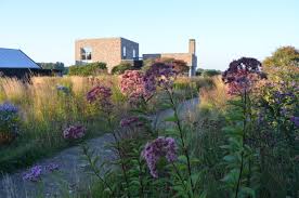 Image result for Piet Oudolf