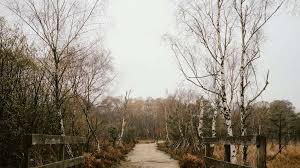 Image result for Bracknell Forest Runners