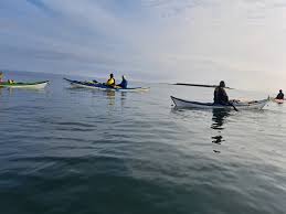 Image result for Coquet Canoe Club