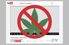 Resultado de imagen para la marihuana channel