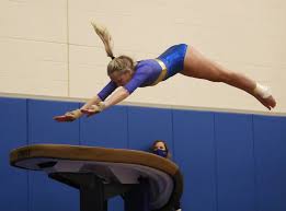 Image result for Angmering Gymnastics