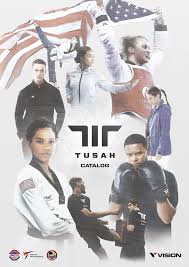 Image result for Vision Martial Arts