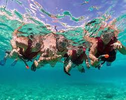 Image result for Dive Barracuda