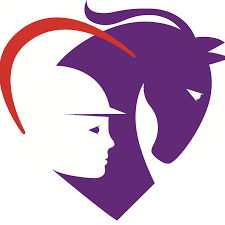 Image result for Riding For The Disabled Association