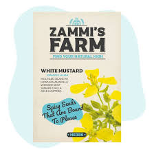 Attēlu rezultāti vaicājumam “Sinapis alba”