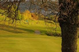 Image result for Vale Of Leven Golf Club