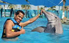 Image result for Dolphins Sheltered & Disabled Swim Club