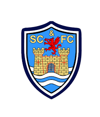 Image result for Swansea Cricket Club