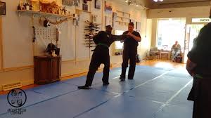 Image result for Bujinkan Truro Dojo
