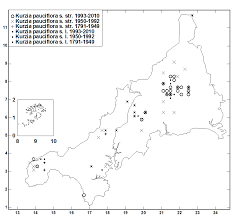 Attēlu rezultāti vaicājumam “Kurzia pauciflora”