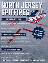 Image result for Hampshire Spitfires Finswimming Club