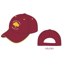 Image result for Wrecclesham Cricket Club