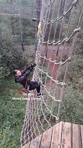 Image result for Go Ape! Moors Valley
