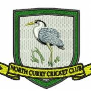 Image result for North Petherton Cricket Club